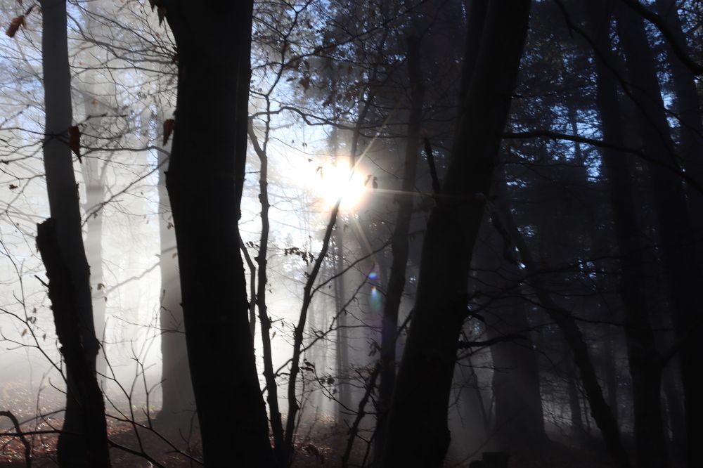 Photograph by Lilsssi