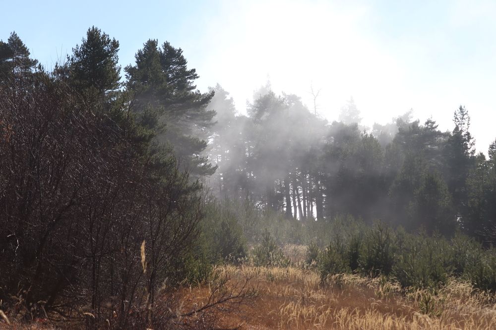 Photograph by Lilsssi