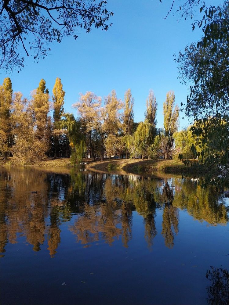 Photograph by Александр Панин