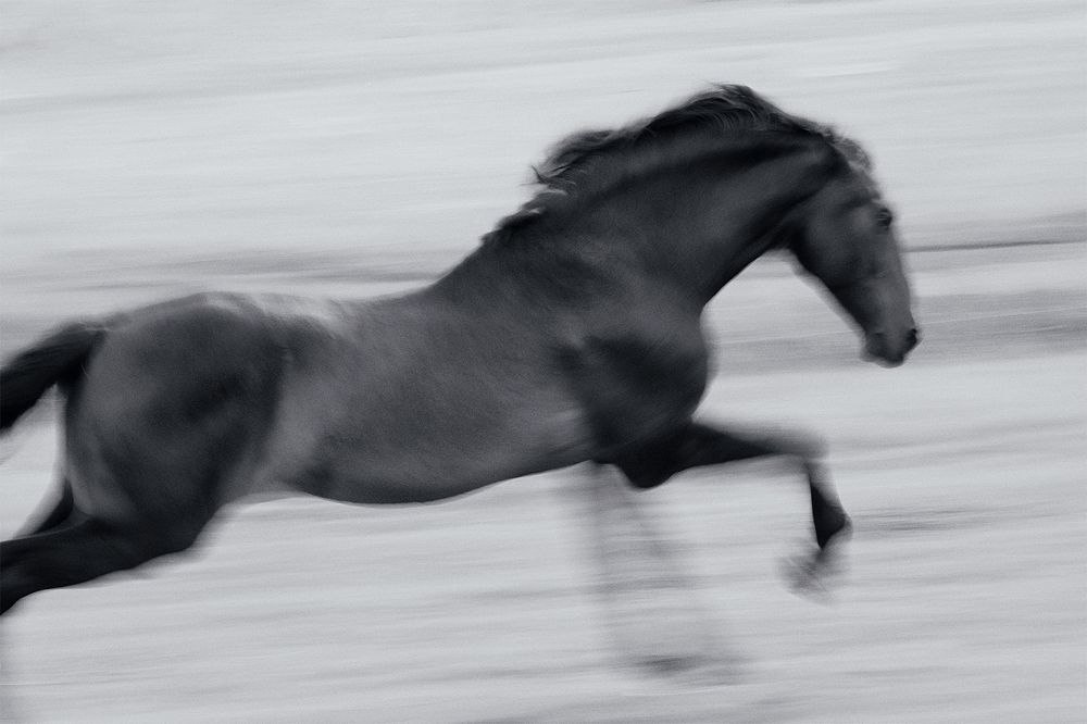 Photograph by Aurency Cremello