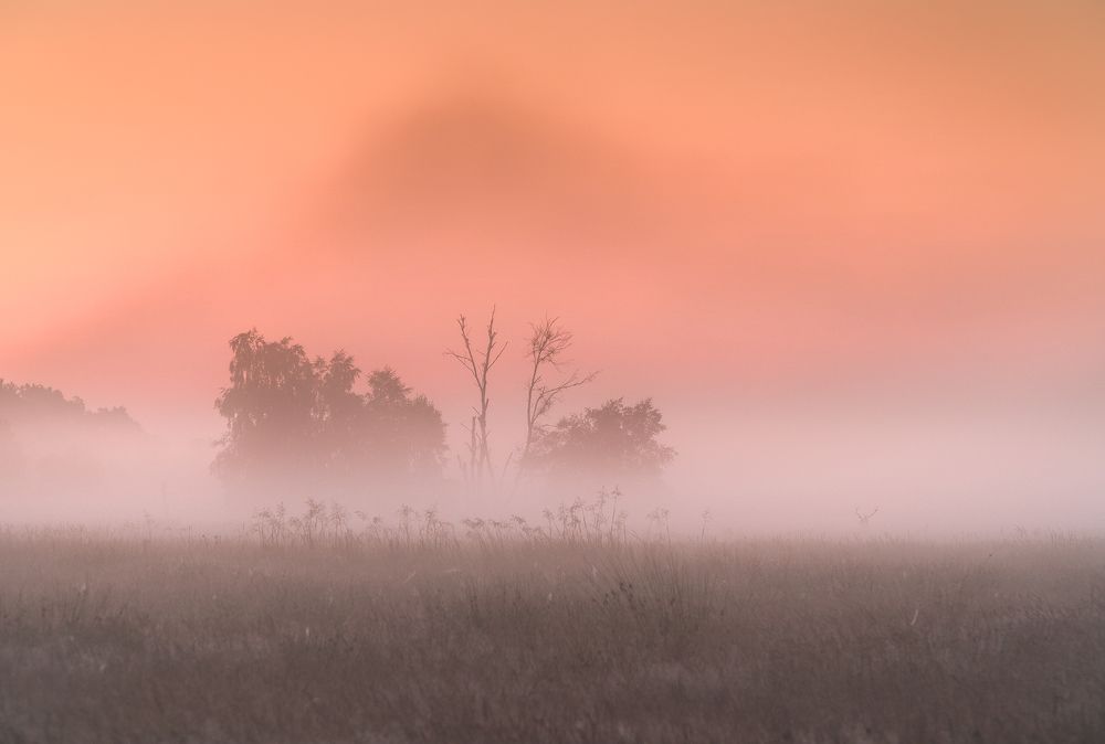 Photograph by Lukasz Zugaj