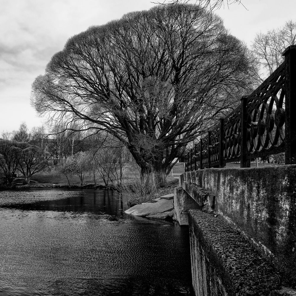 Photograph by Михаил Бронников