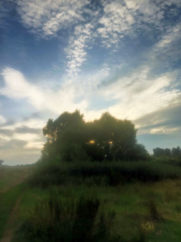 Photograph by Марина Кулаковская