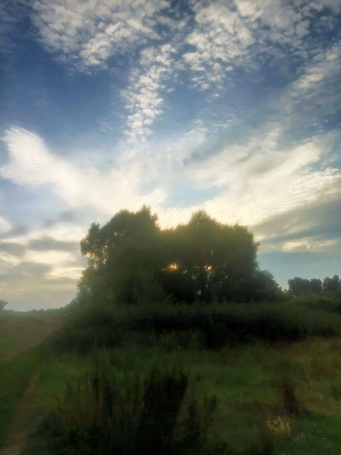Photo #6827705