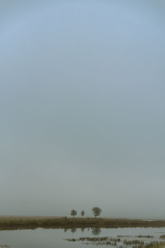 Фотография автора Sergei Rukavitsyn