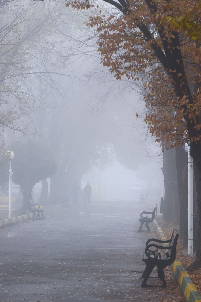 Photograph by Reza Heydari