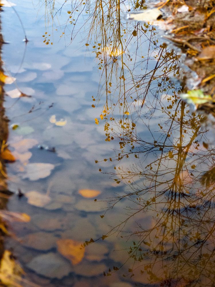 Photograph by Юрий Сычев