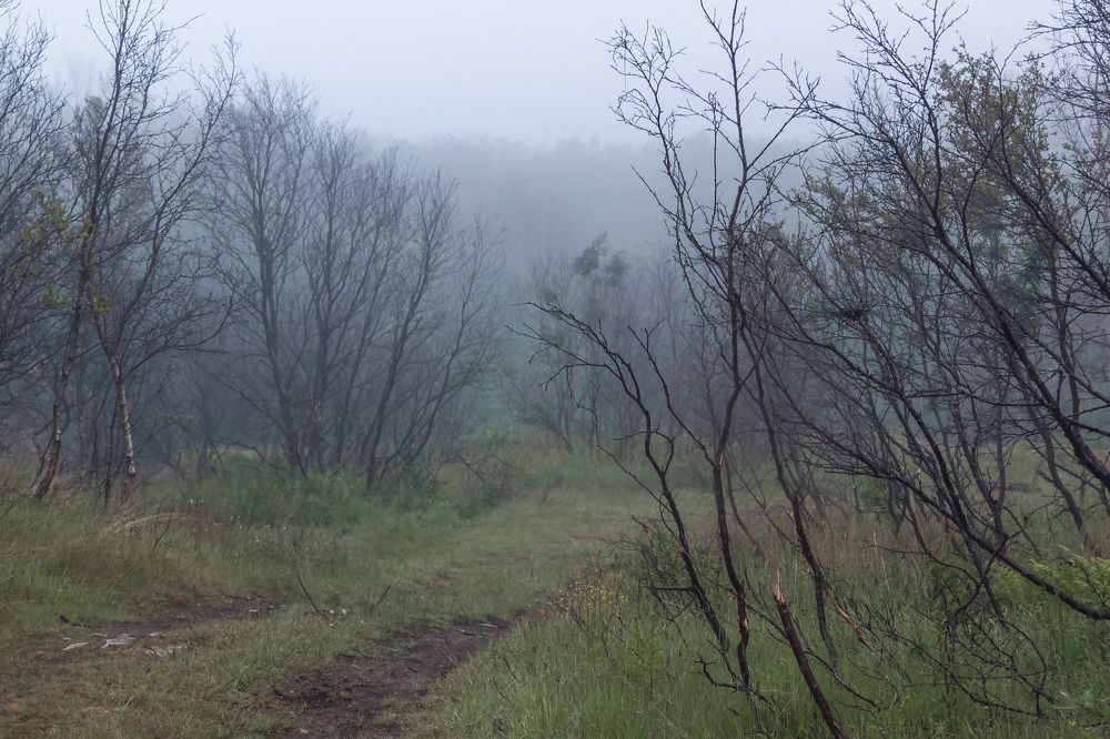 Photograph by Эльвира Сагдиева