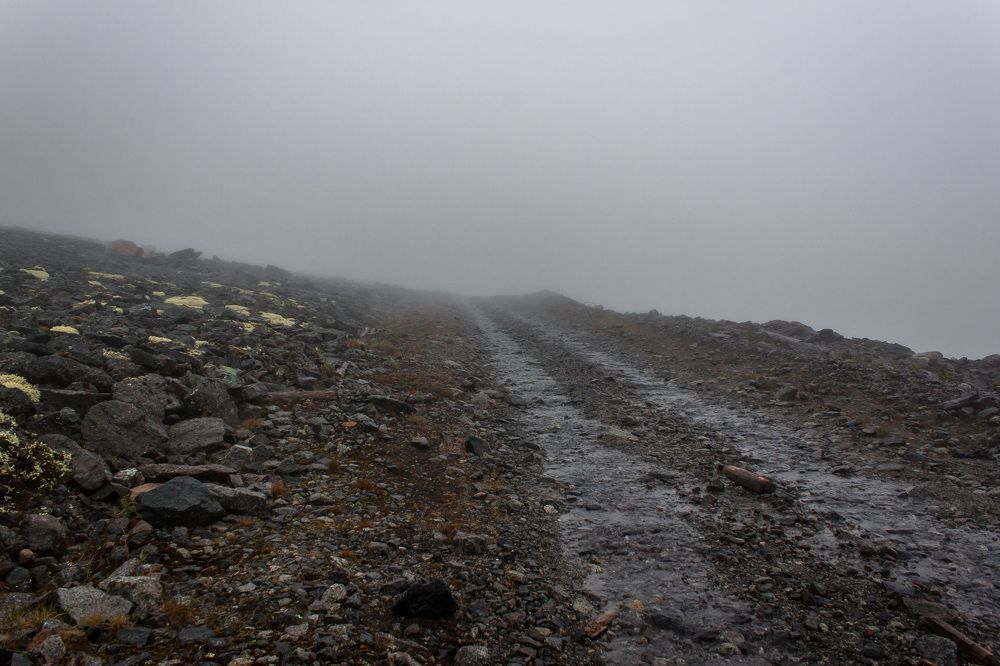 Дорога в никуда