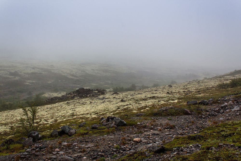 Photograph by Эльвира Сагдиева