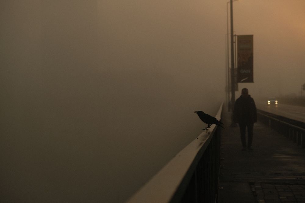 The lonely man and the Crow