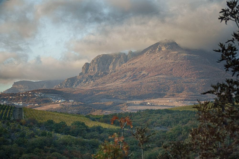 Photograph by Виталий