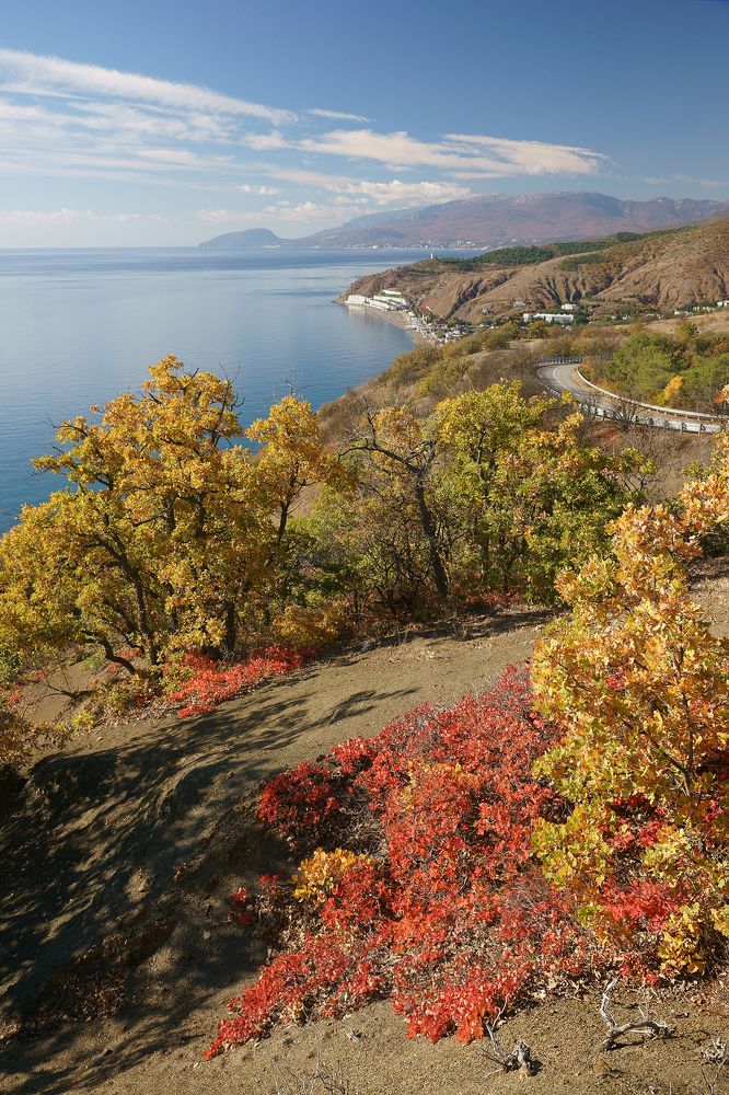 Photograph by Виталий