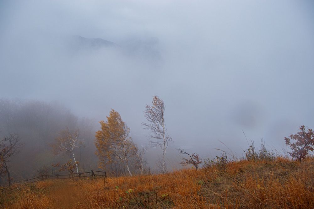 Photograph by Yulia Nikolaeva