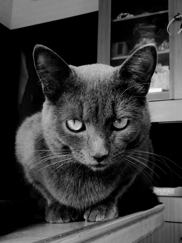 Photograph by Александр Фокин