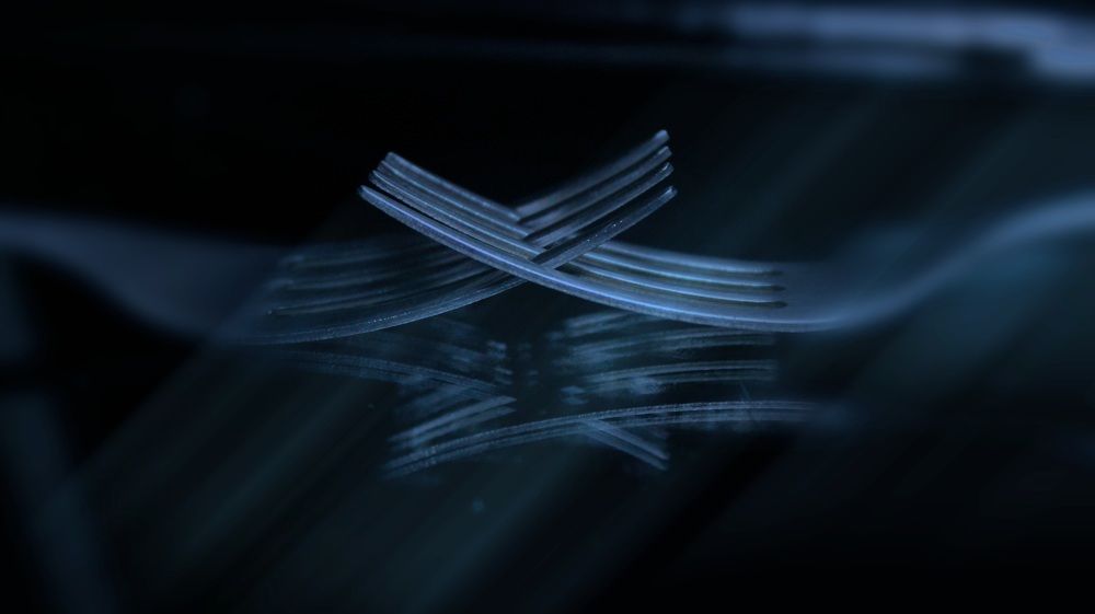 Photograph by Francisco Ferreira