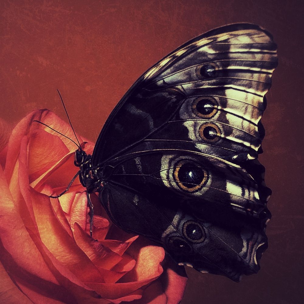 Photograph by Юлия Отставнова