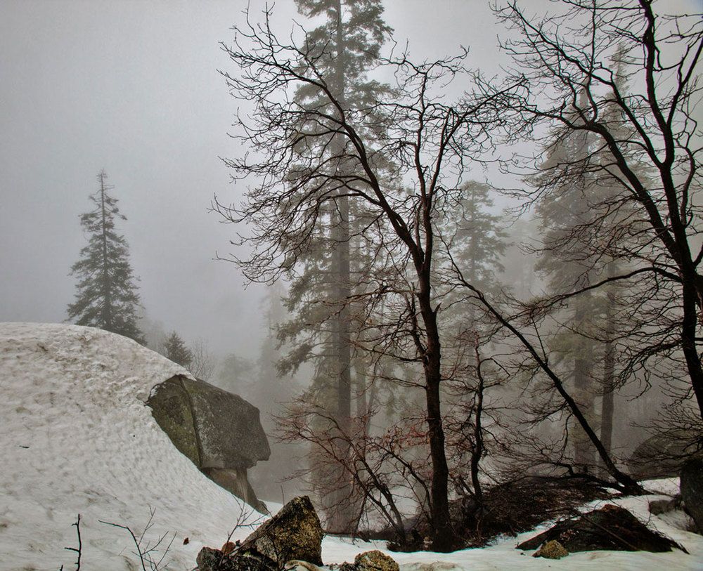 Фотография автора andrey gagarin