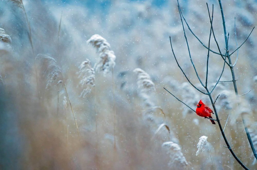 Photograph by Lyudmila Gruzdeva