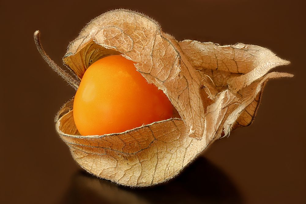 Photograph by Rui Santos