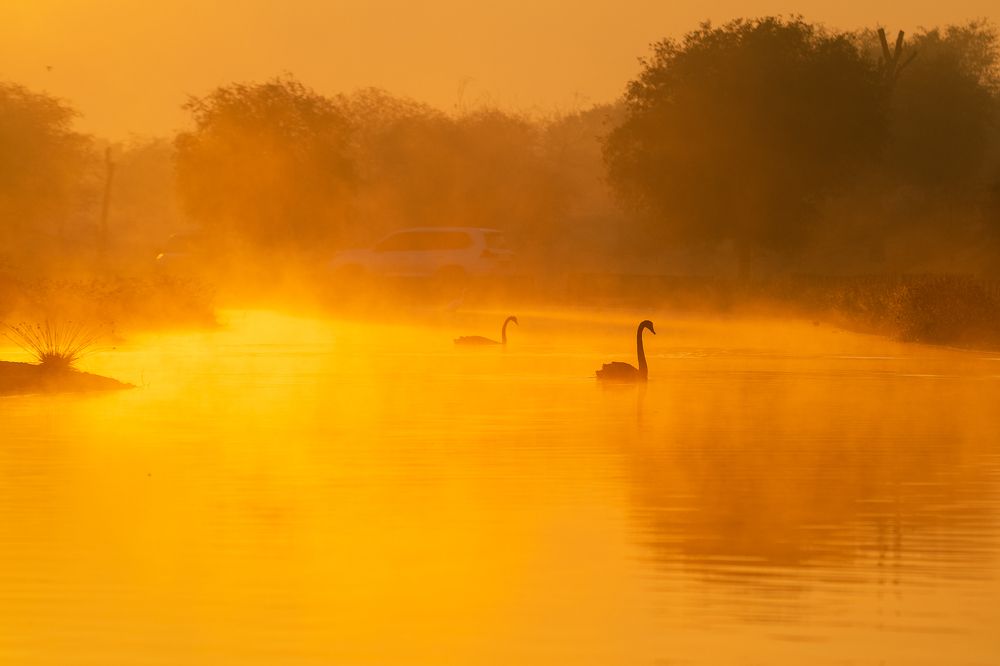 Photograph by Zubair Irshad