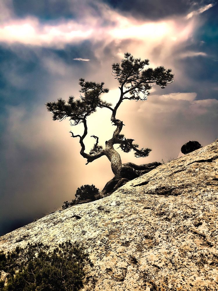 одиночество