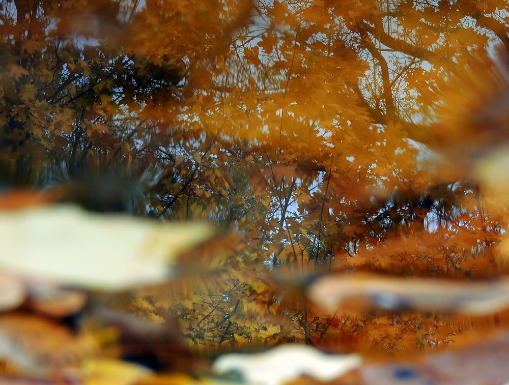 Фотография автора Роман Савоцкий