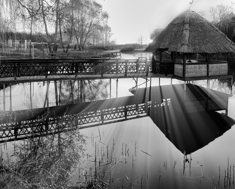 Photograph by Савоцкий Роман