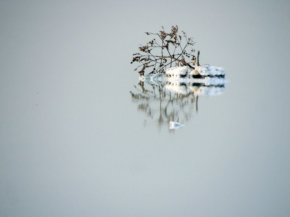 Photograph by Савоцкий Роман