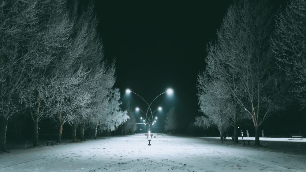 Photograph by Елена