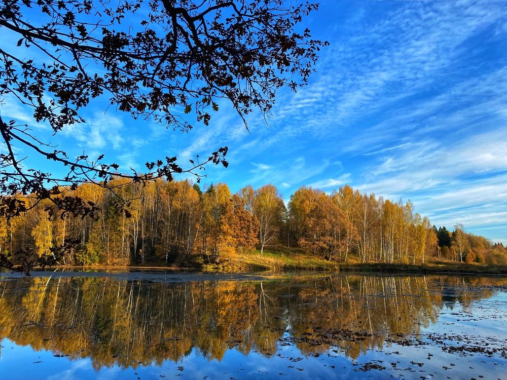 Photograph by Анна Знаменская