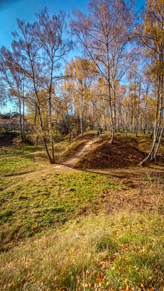 Photograph by Светлана Гутник