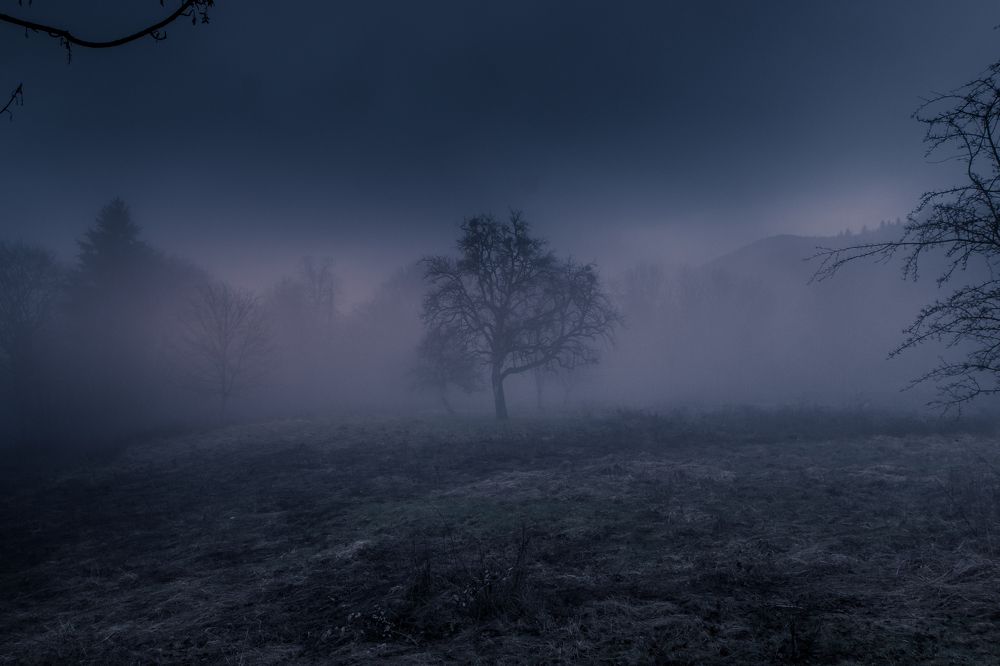 Photograph by Pavel Chuchalin