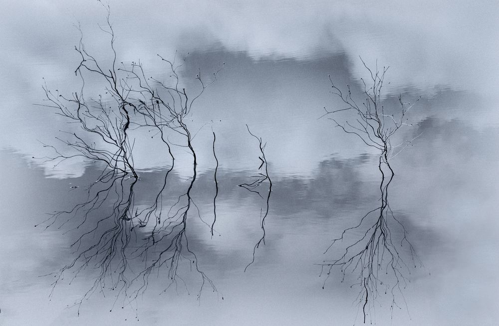 Photograph by Mahmoodreza Noraei