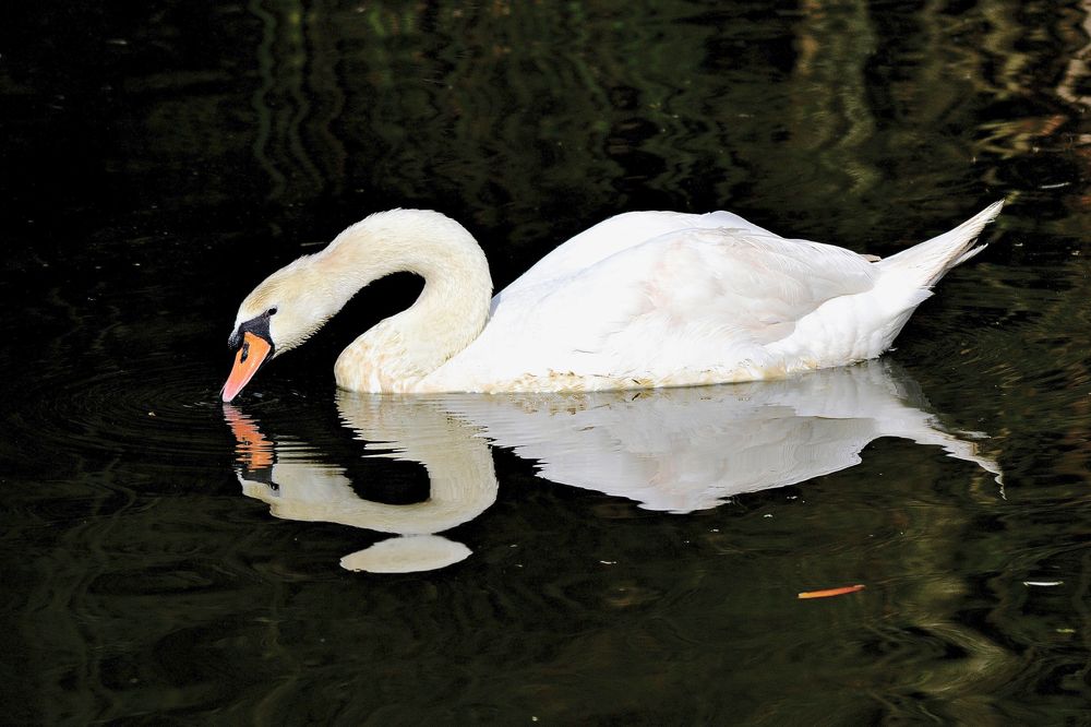 Photograph by Rechard Idea