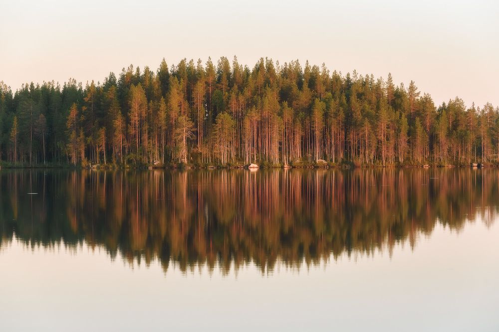 Photograph by Андрей Баскевич