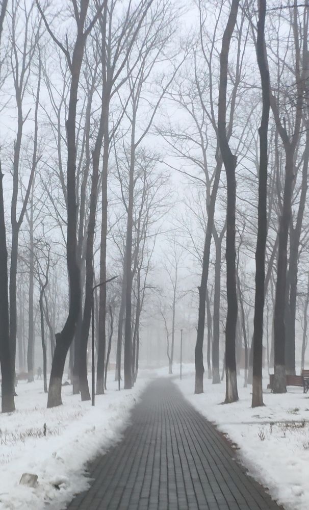 Photograph by Светлана Волощук