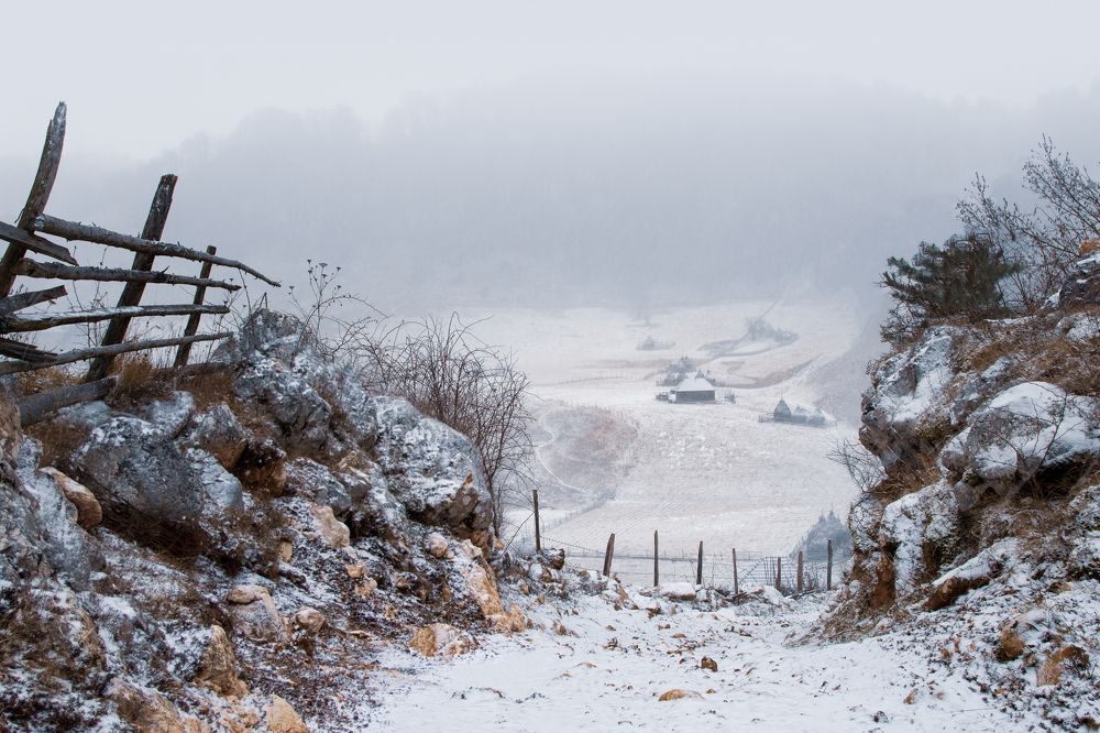 Photograph by Adrian Stanica