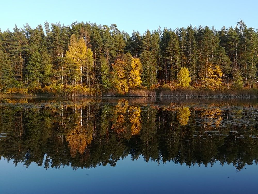 Photograph by Светлана Батурова