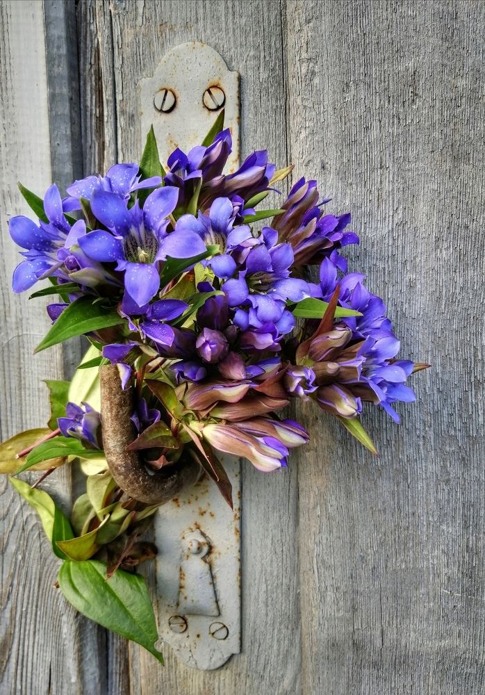 Фотография автора Fotolove Tasha