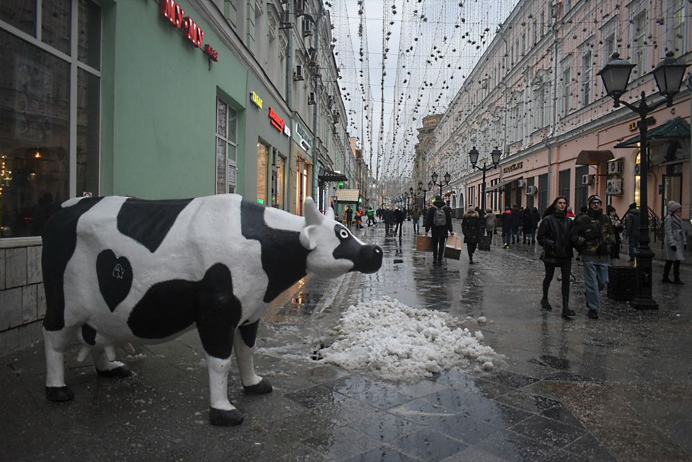 Photograph by Сергей Иванович Носов