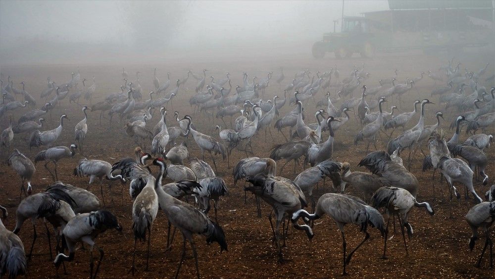 Photograph by Галина Гершман