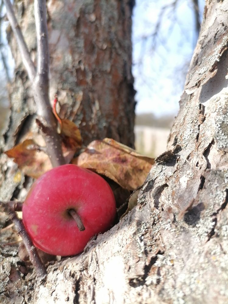 Одиночество