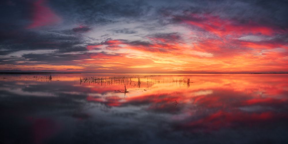 Photograph by Camacho Anto