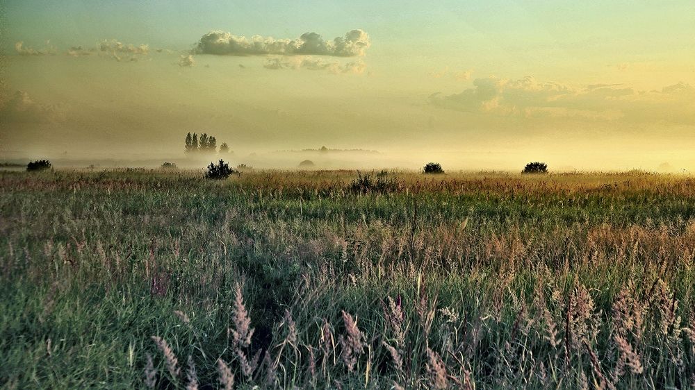 Photograph by Сергей Жданов