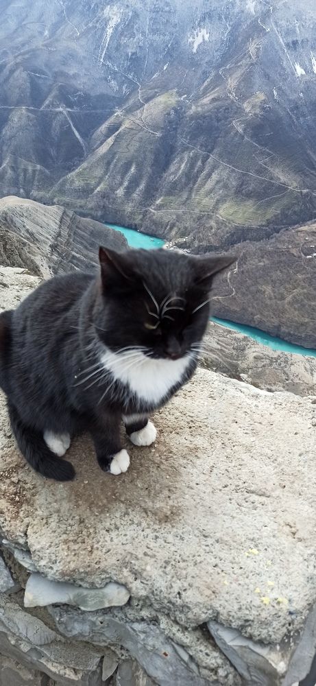 Фотография автора Курбан Курбаналиев