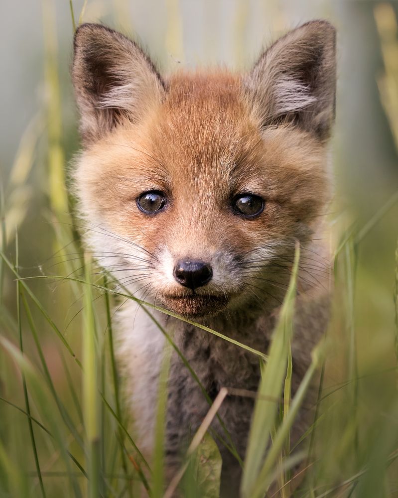 Photograph by Carsten Thamdrup Lund