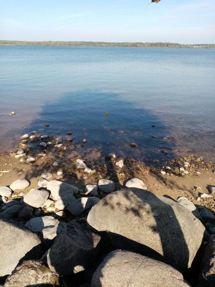Photo #6829184
