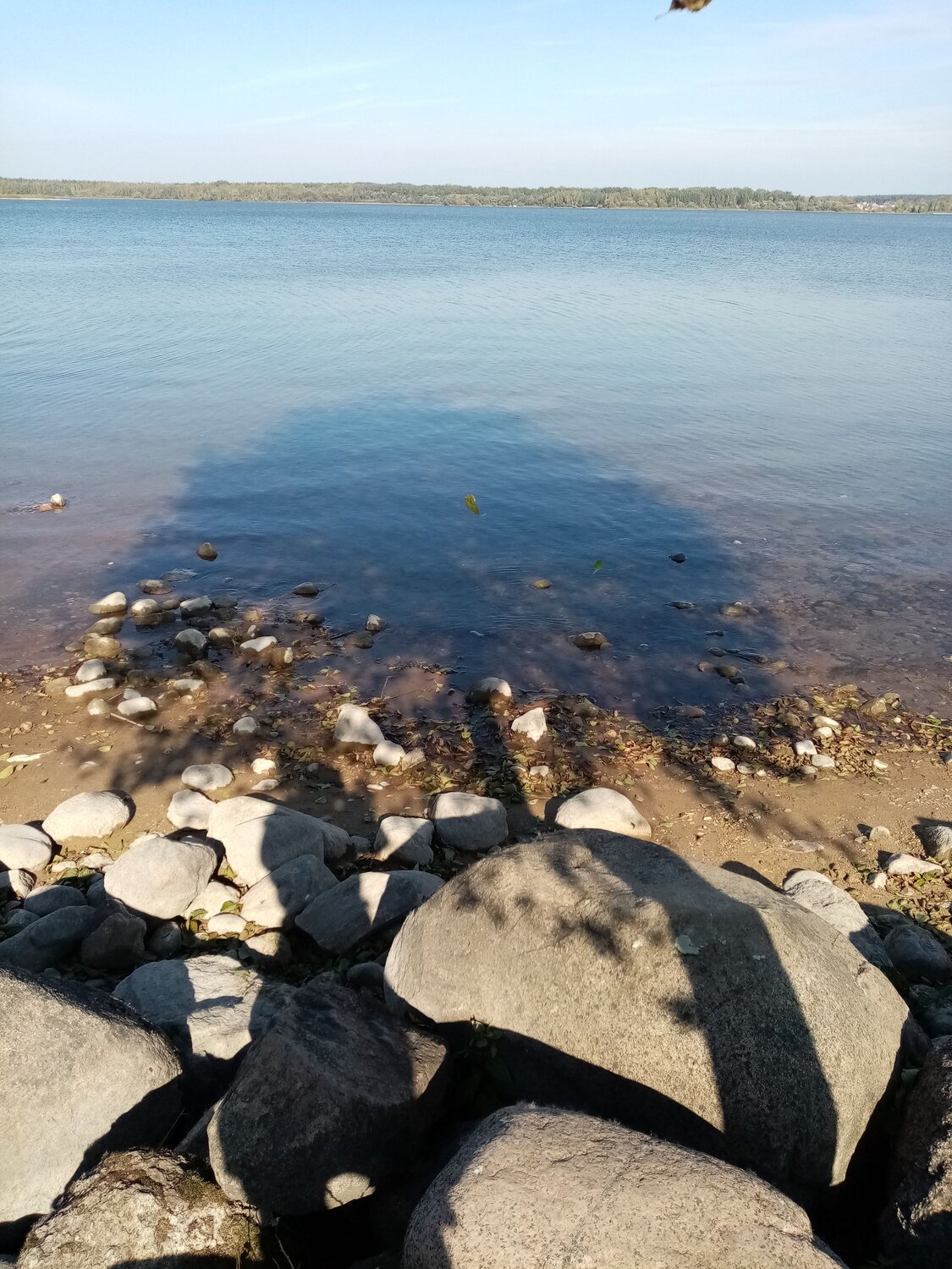 Photo #6829184