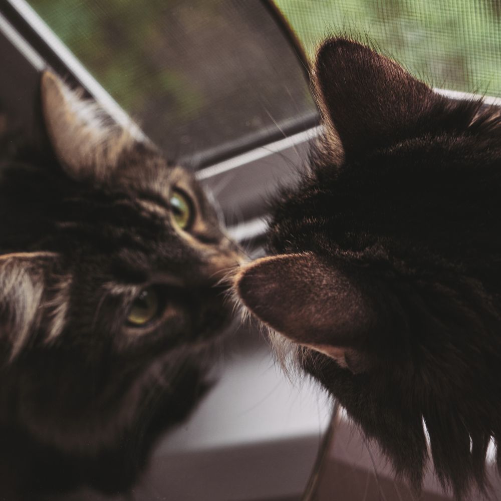 Photograph by Виктория Колышева